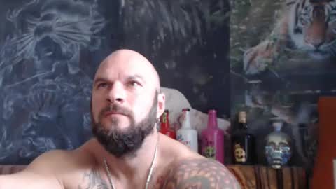 viking online show from 10/27/25, 07:34