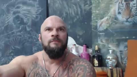 viking online show from 10/31/25, 08:32