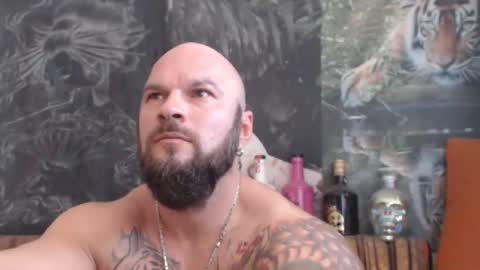 viking online show from 11/02/25, 10:28