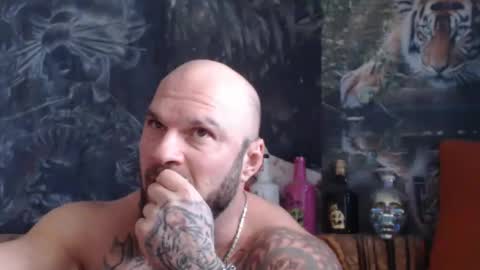 viking online show from 11/14/25, 09:08