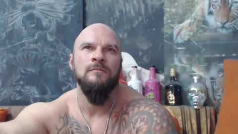 viking online show from 11/21/25, 07:12