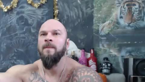 viking online show from 12/23/25, 07:39