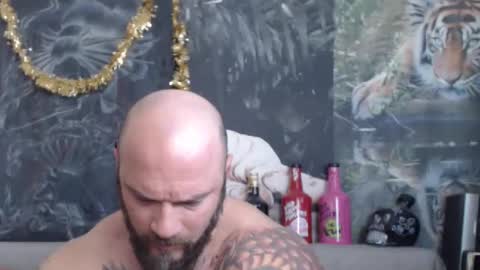 viking online show from 03/16/26, 06:39