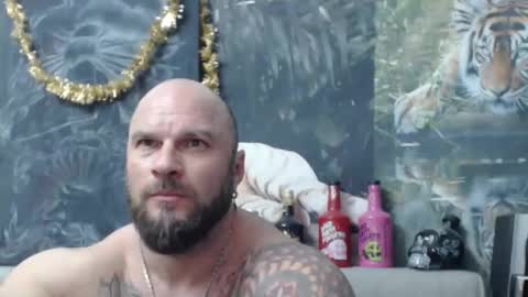 viking online show from 03/23/26, 06:56