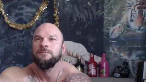 viking online show from 03/28/26, 08:14