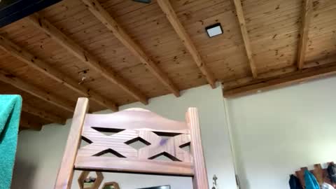 Viking Independent model online show from 02/23/26, 09:34