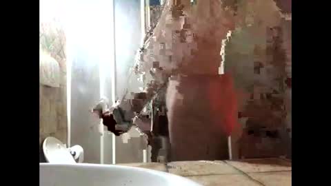 Zenith online show from 03/19/26, 05:39