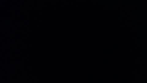 Daniela online show from 12/16/24, 08:16