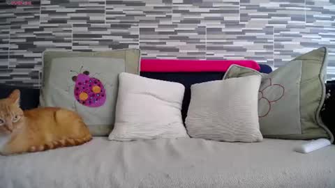 Snapshot of violetagomez_co chatting on 07/07/26, 04:11 Violeta Gmez online show from 07/07/26, 04:11