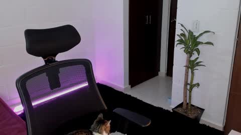 Lu online show from 03/05/25, 12:27