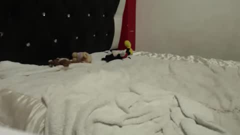 melissa online show from 10/24/25, 05:04