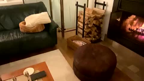 Vivlove online show from 12/21/24, 11:56