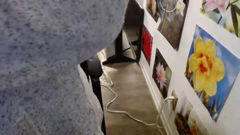 Snapshot of vixenfyre chatting on 12/12/24, 05:59 Vixen Fyre online show from 12/12/24, 05:59