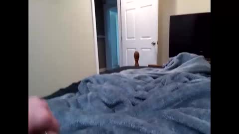 vladedivac1998 online show from 03/31/26, 06:19