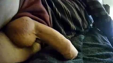 vleeslollie2024 online show from 01/10/25, 07:14