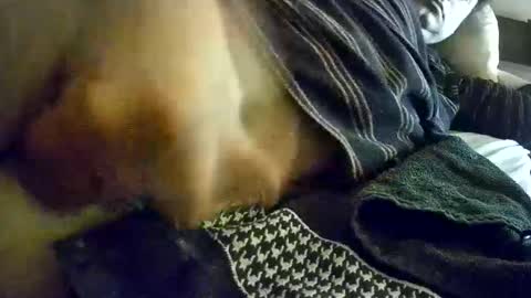 vleeslollie2024 online show from 01/13/25, 07:21