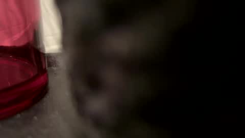 John online show from 12/22/24, 05:21