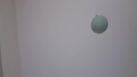 Leakyknob online show from 02/08/26, 11:13