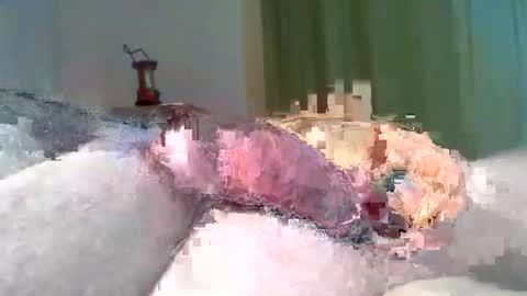 Snapshot of vukavuka99 chatting on 03/08/26, 09:29 vukavuka99 online show from 03/08/26, 09:29