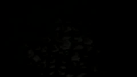 w2456 online show from 11/25/25, 11:38