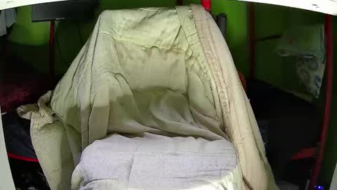 Snapshot of walltazv chatting on 11/12/25, 05:30 Kentaro online show from 11/12/25, 05:30