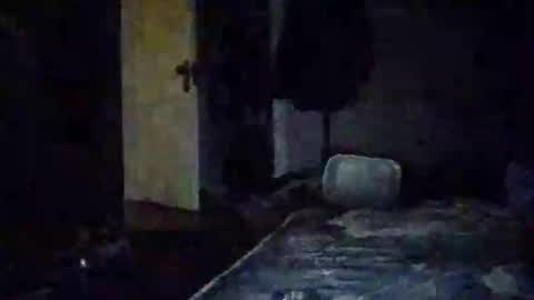 Walter online show from 11/14/25, 10:58