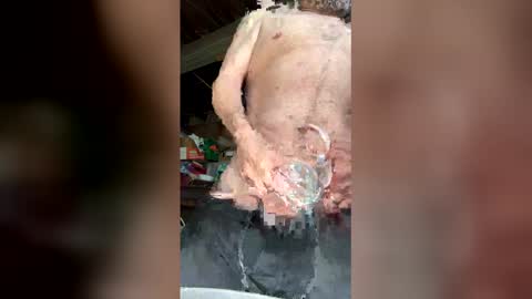 Walter online show from 03/12/26, 05:52