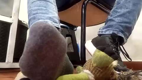 WaltherFeet  online show from 02/10/25, 06:56