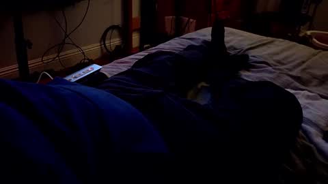 I love the ol in-n-out  online show from 03/20/26, 03:22