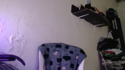  washbag14 online show from 02/13/26, 03:41