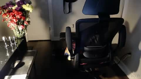 wasted_daze_ online show from 10/25/25, 10:34