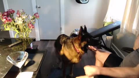 wasted_daze_ online show from 03/11/26, 10:38