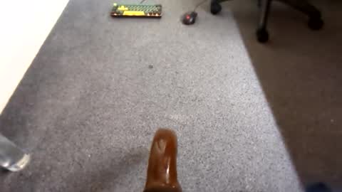 waterd4wg online show from 04/19/26, 06:10