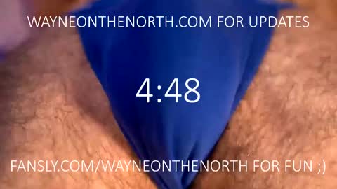waynenorth online show from 02/20/25, 04:25