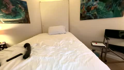 Retainer Forever Solo Album online show from 03/07/26, 07:38