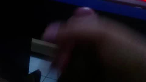 wellingtont online show from 01/18/26, 11:41