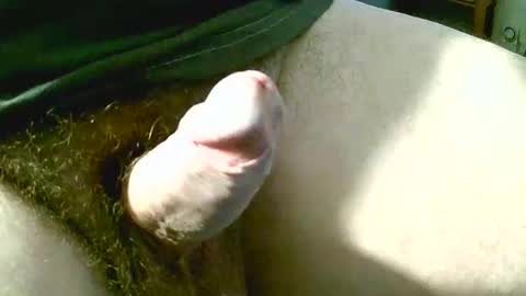 welshstuds online show from 09/11/25, 11:32