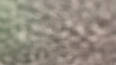 Snapshot of wendyhicks chatting on 04/04/26, 11:18 Eva online show from 04/04/26, 11:18