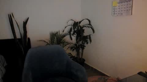tatty online show from 09/26/25, 11:09