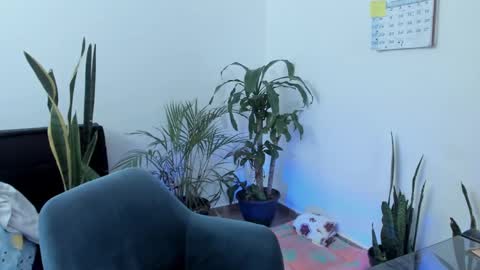 tatty online show from 09/28/25, 05:40