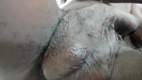 Enjoyments  online show from 04/22/26, 07:11