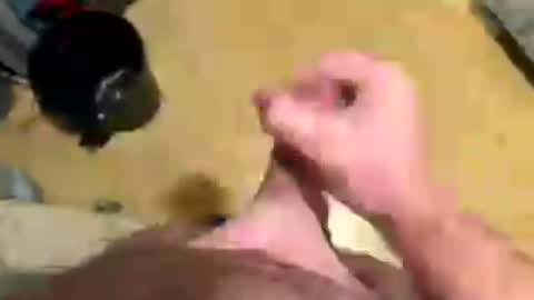 westy157547 online show from 07/11/26, 02:47