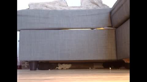 wet_pants2022 online show from 02/27/25, 04:43