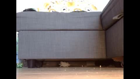 wet_pants2022 online show from 03/03/25, 04:46