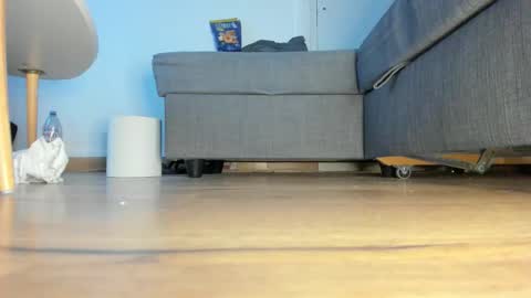 wet_pants2022 online show from 02/10/26, 04:22