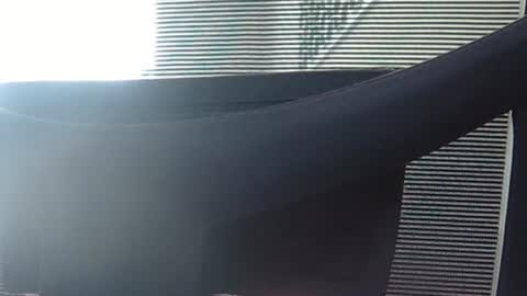 Snapshot of wetbigdickstream chatting on 06/13/26, 12:14 Wetbigdickstream online show from 06/13/26, 12:14