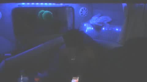 Snapshot of wetdreamsz101 chatting on 01/19/26, 08:51 wetdreamz101 online show from 01/19/26, 08:51