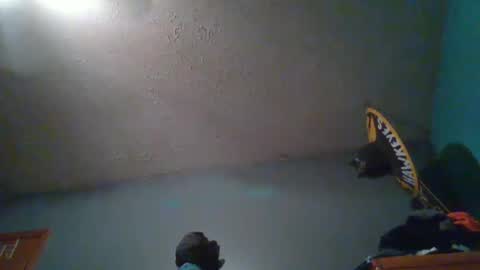 Snapshot of wetduck77777 chatting on 10/05/25, 08:01 wetduck77777 online show from 10/05/25, 08:01