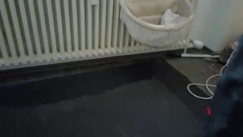 Snapshot of wetgerman2 chatting on 03/11/25, 03:45 Wetgerman online show from 03/11/25, 03:45