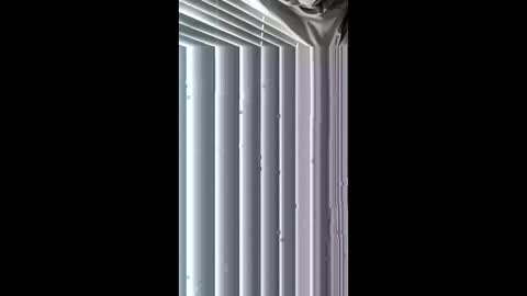wetone308084 online show from 05/01/26, 02:54